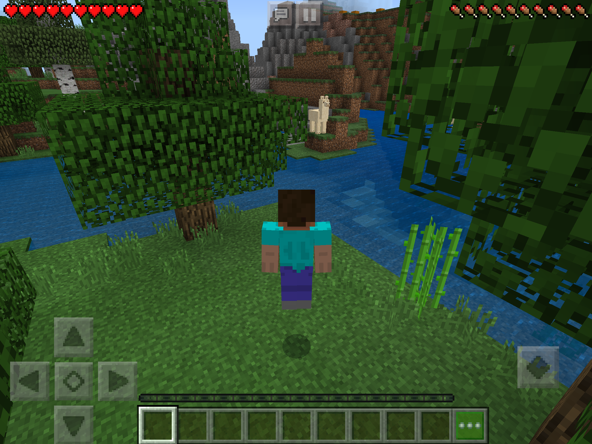 iPad users - Minecraft: Education Edition now available - NCCE Blog
