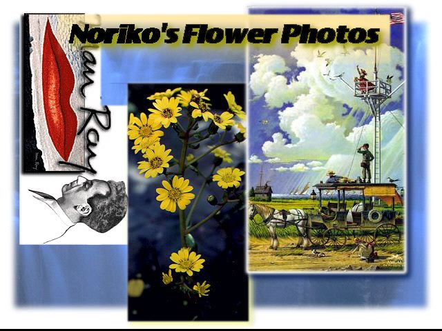 flower photo 3