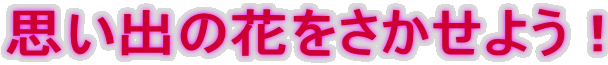 vỏԂ悤I